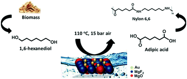 Aerobic oxidation of 1,6-hexanediol to adipic acid over Au-based catalysts: the role of basic supports
